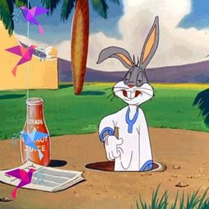 Meet your Posher, Ivan